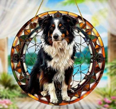 Raamhanger border collie