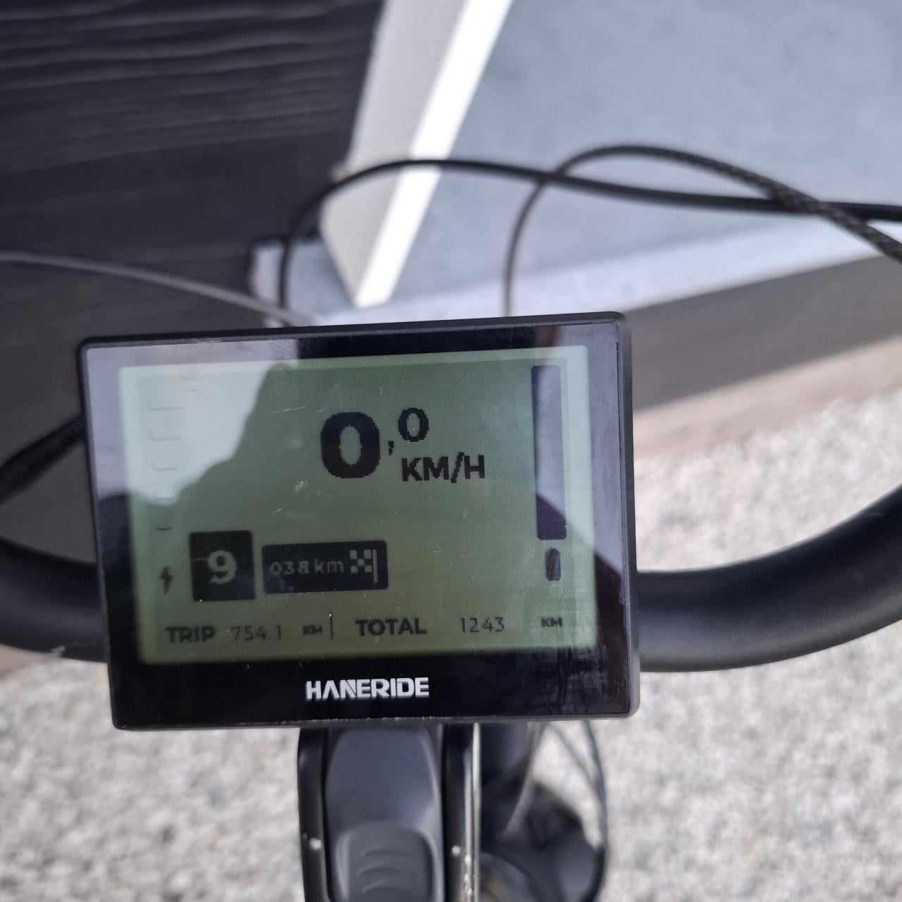 Stella livorno elektrische fiets (moet snel weg)