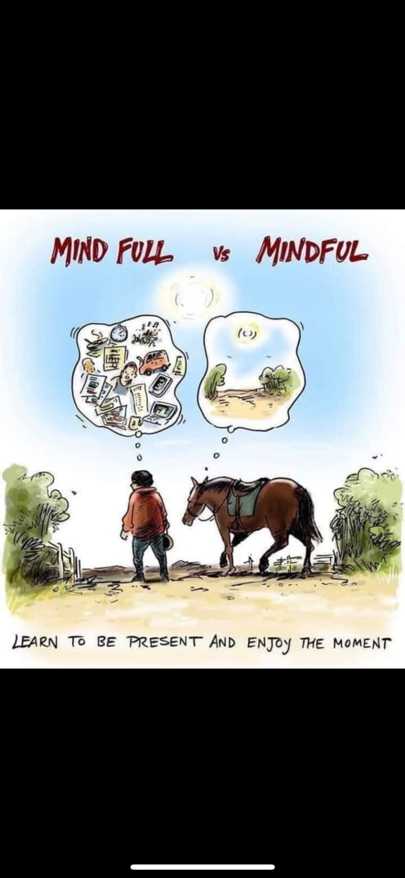 # Equi Pride # Gedrag, Grondwerk, Rijden, Natural Horsemanship etc.