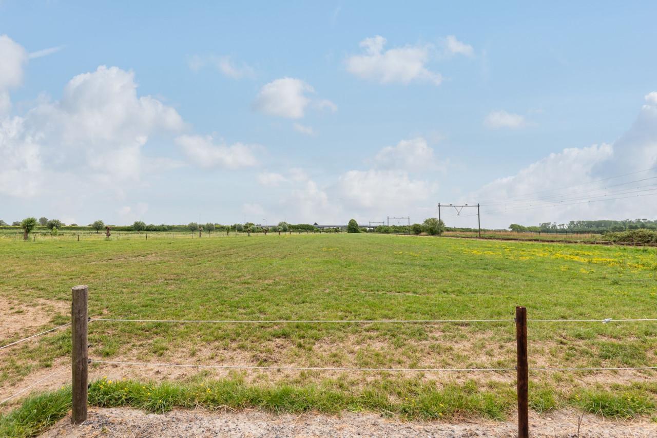 Paardenbox vrij -- rijbak -- paddock -- weidegang