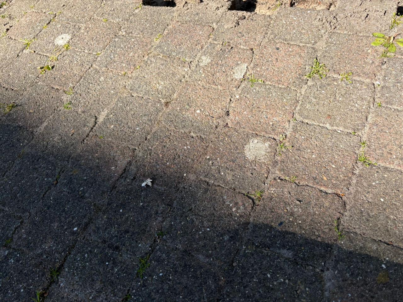 Ongeveer 20m2 stenen/ cobblestones