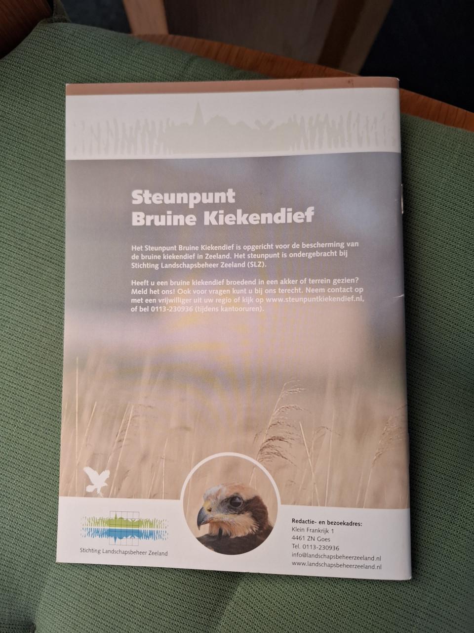 De Bruine Kiekendief in Zeeland, een roofvogel van rietlanden en akkers