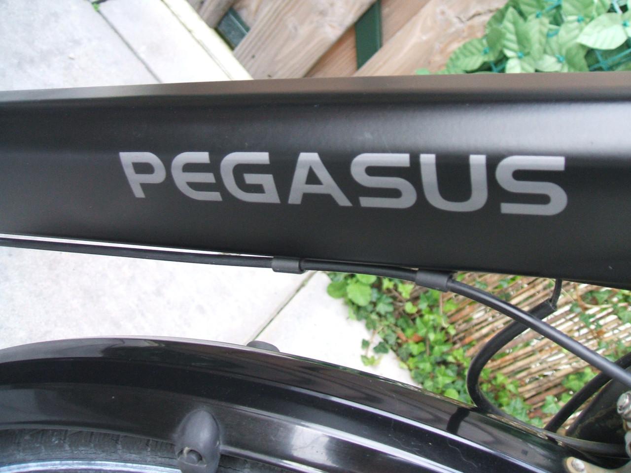 PAGESUS JONGENSFIETS