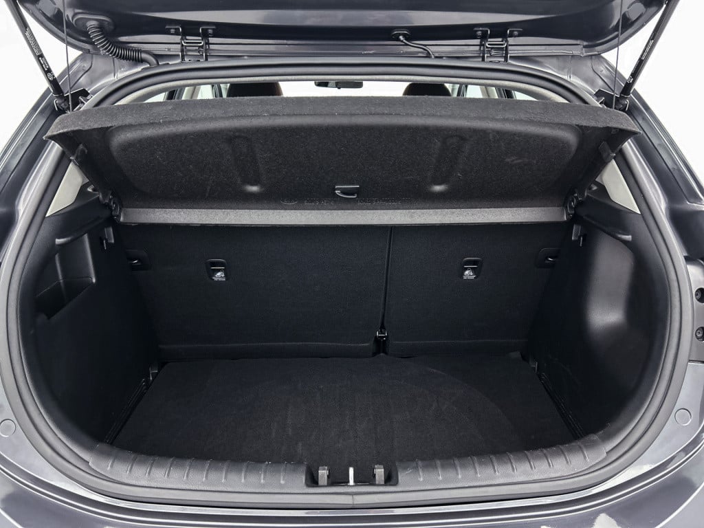 Kia Rio 1.0 tgdi dynamicline | lichtmetalen velgen | parkeercamera | naviga