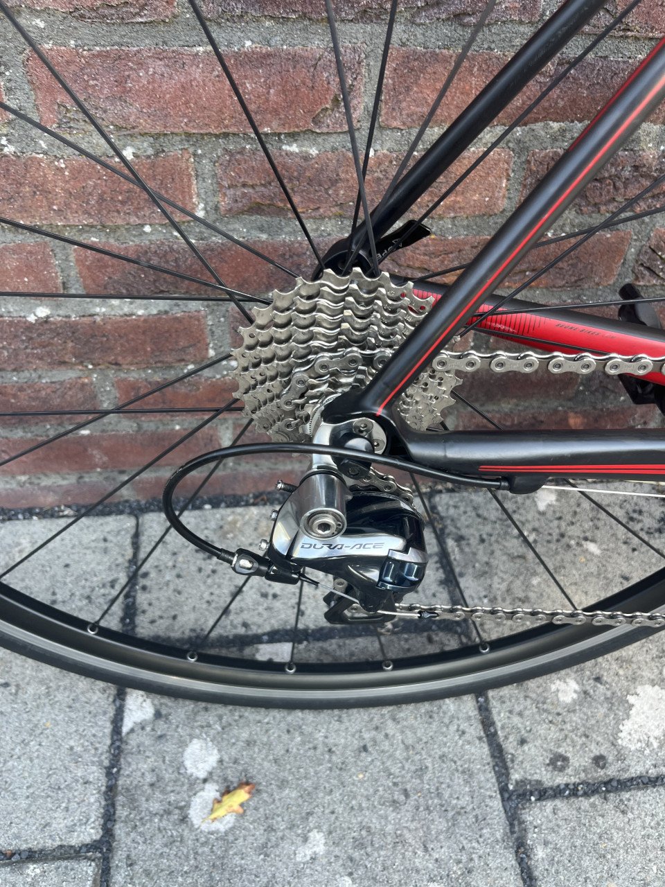 Beone raw pro carbon 53 cm