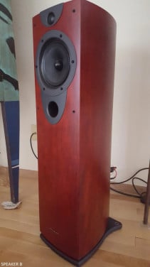 Wharfedale Evolution²‑20 vloerstaande luidspreker