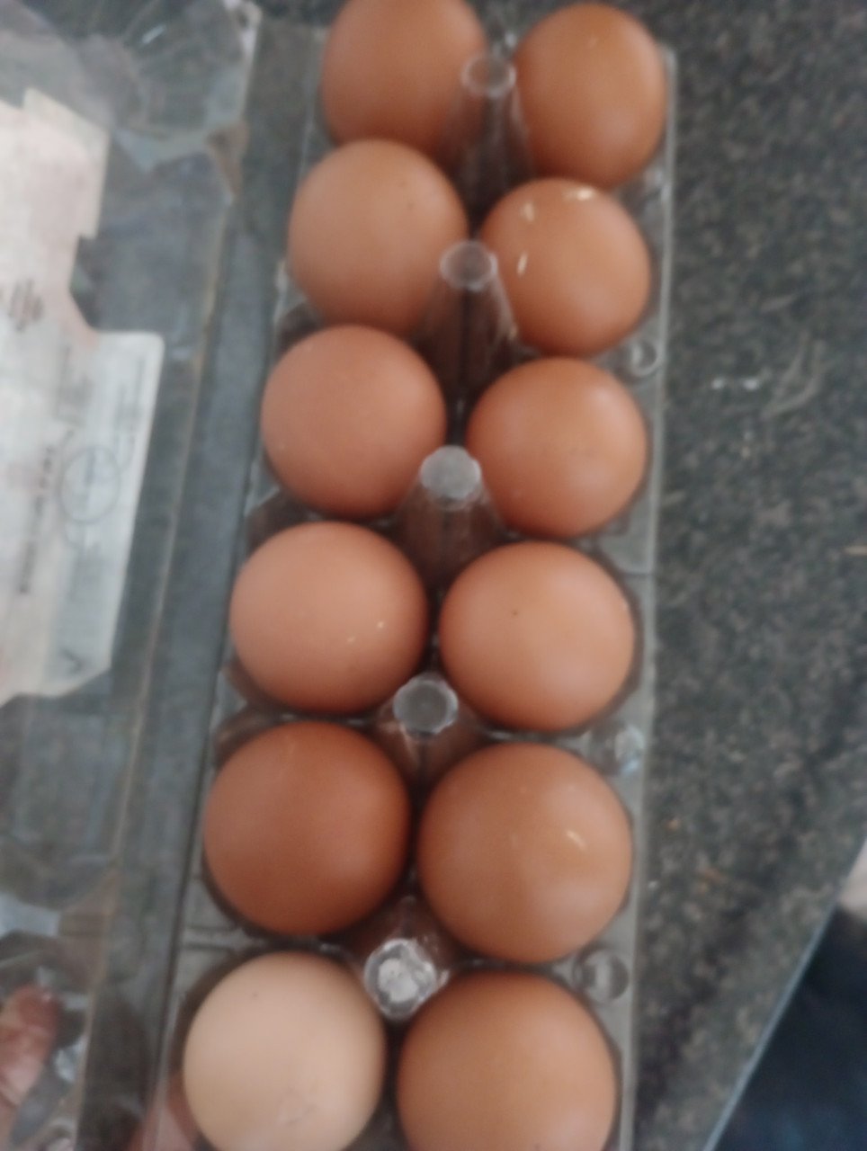 Eieren