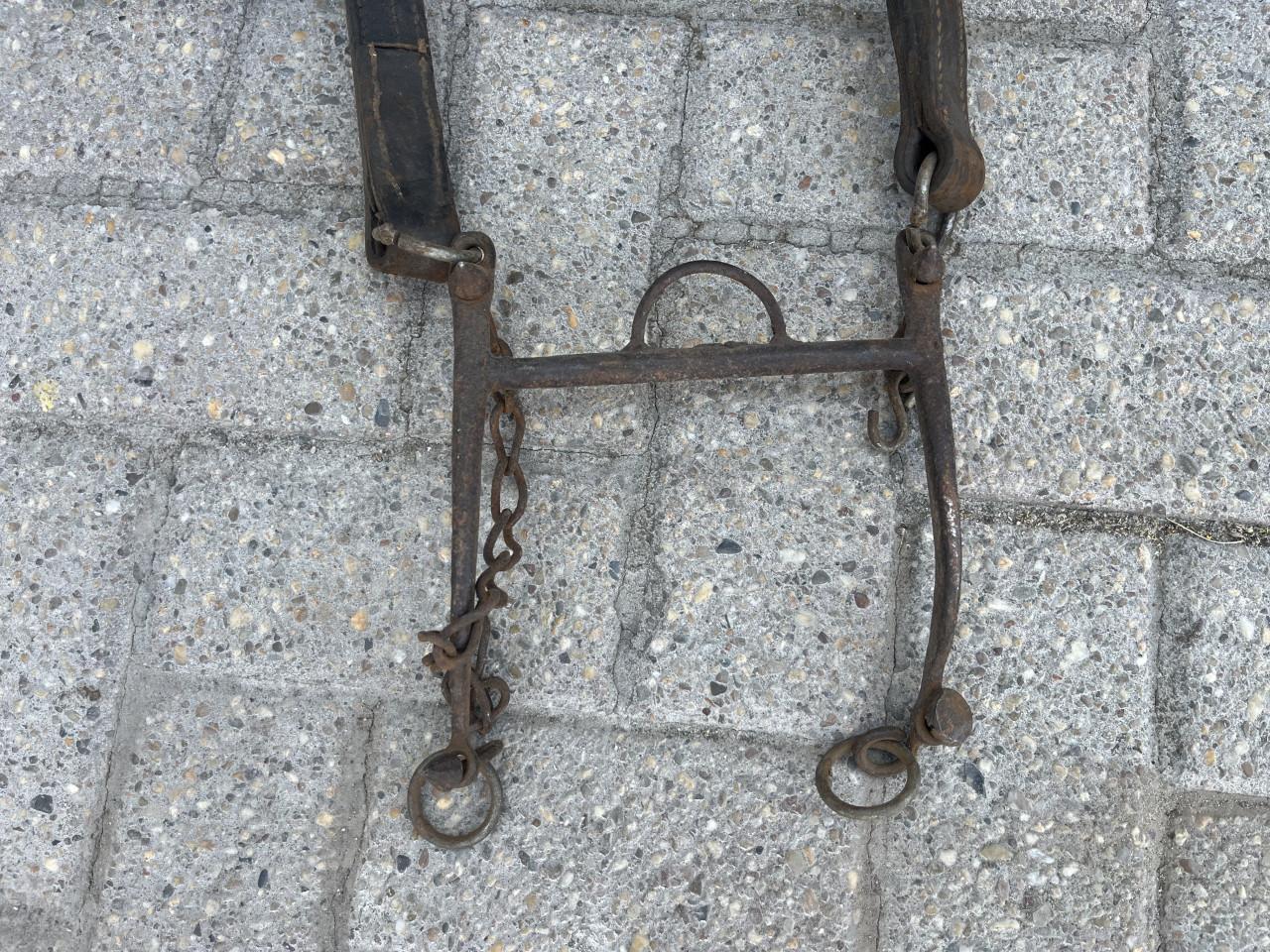 Paardengareel met hoofdstel met bit