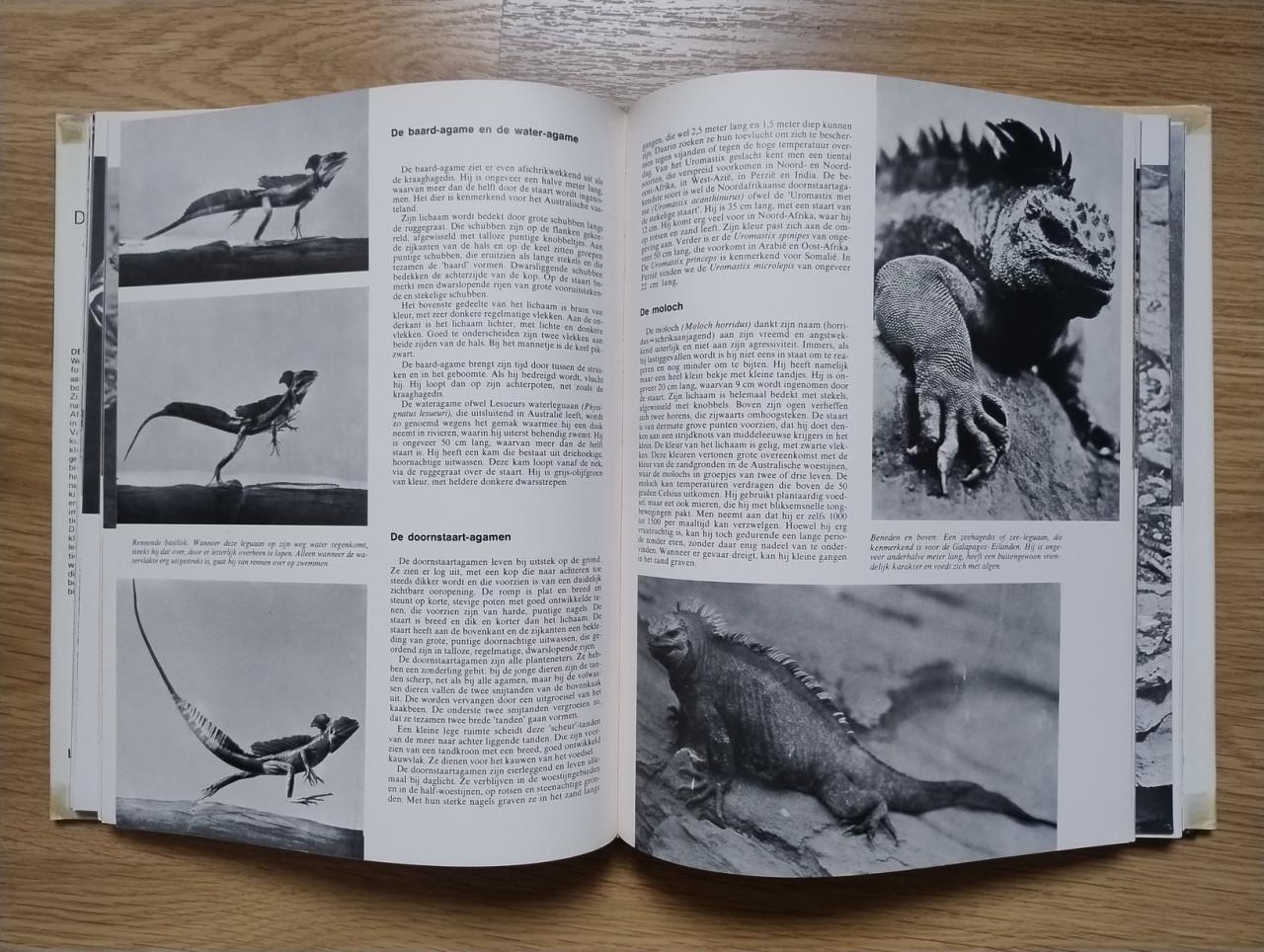 Complete 10 delige serie over de Geheimen van het Dierenrijk