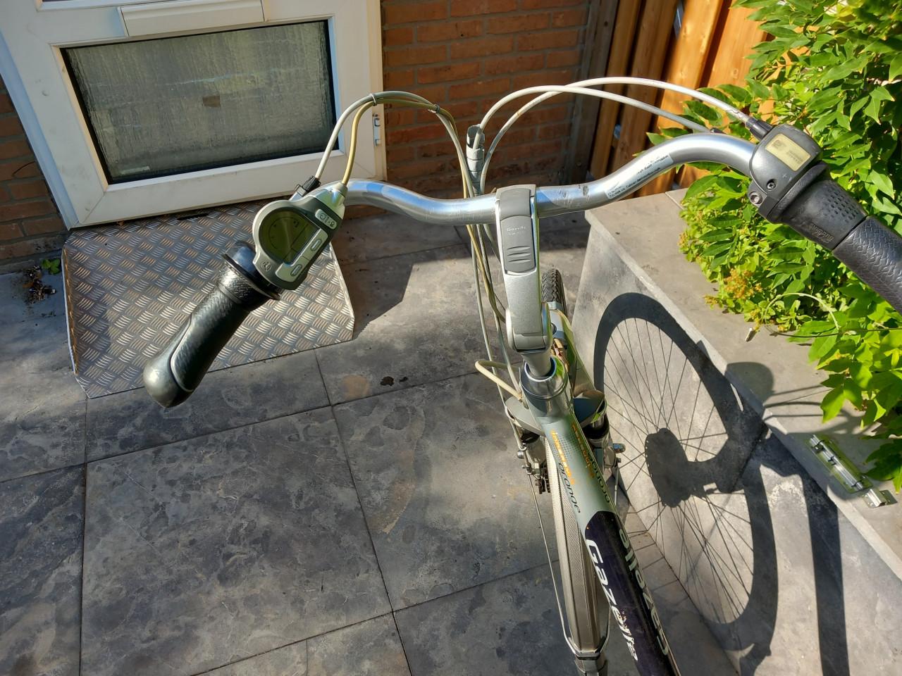 Gazelle orange inergy
