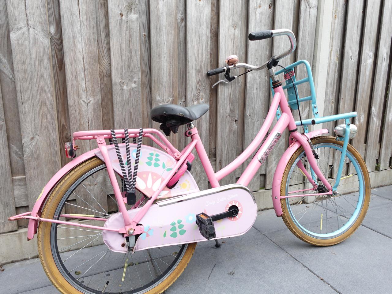 🚲 Popal Meisjesfiets – 22 inch – Transportmodel – Roze
