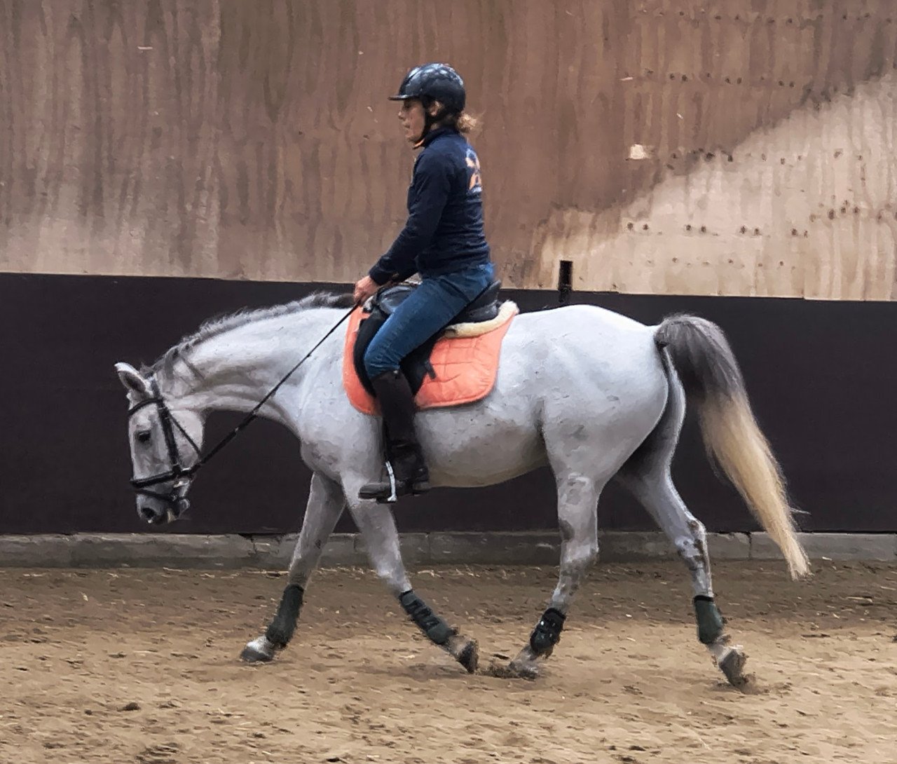 Pony