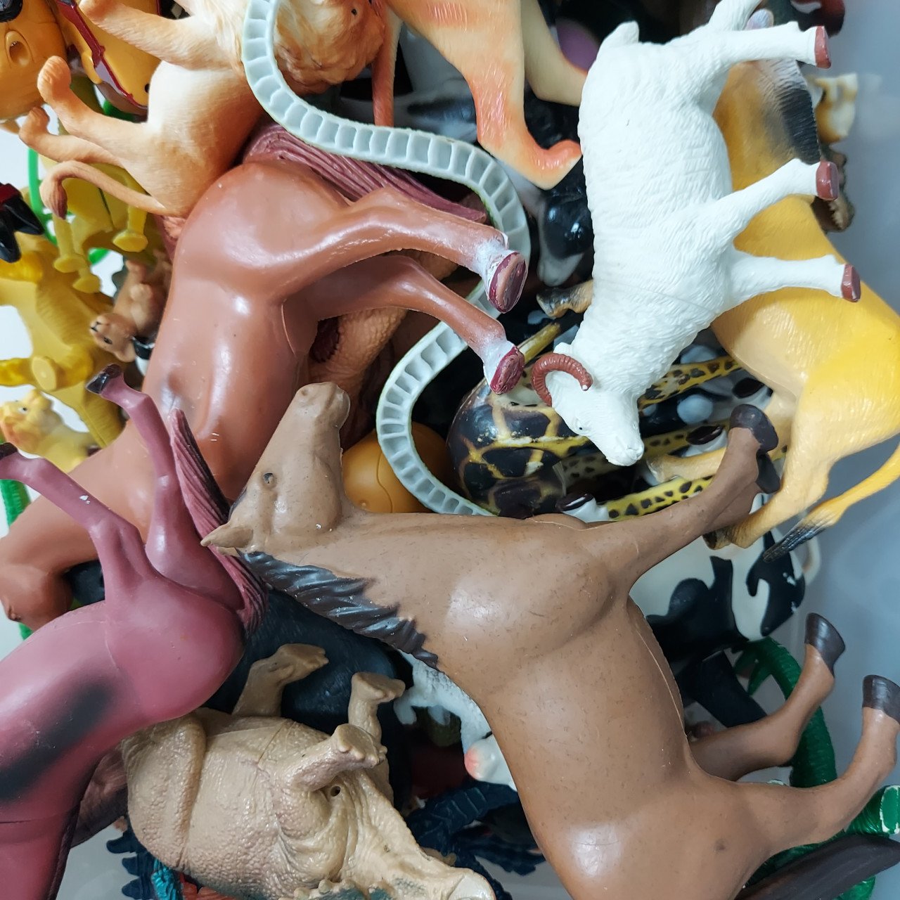 Bak met dieren