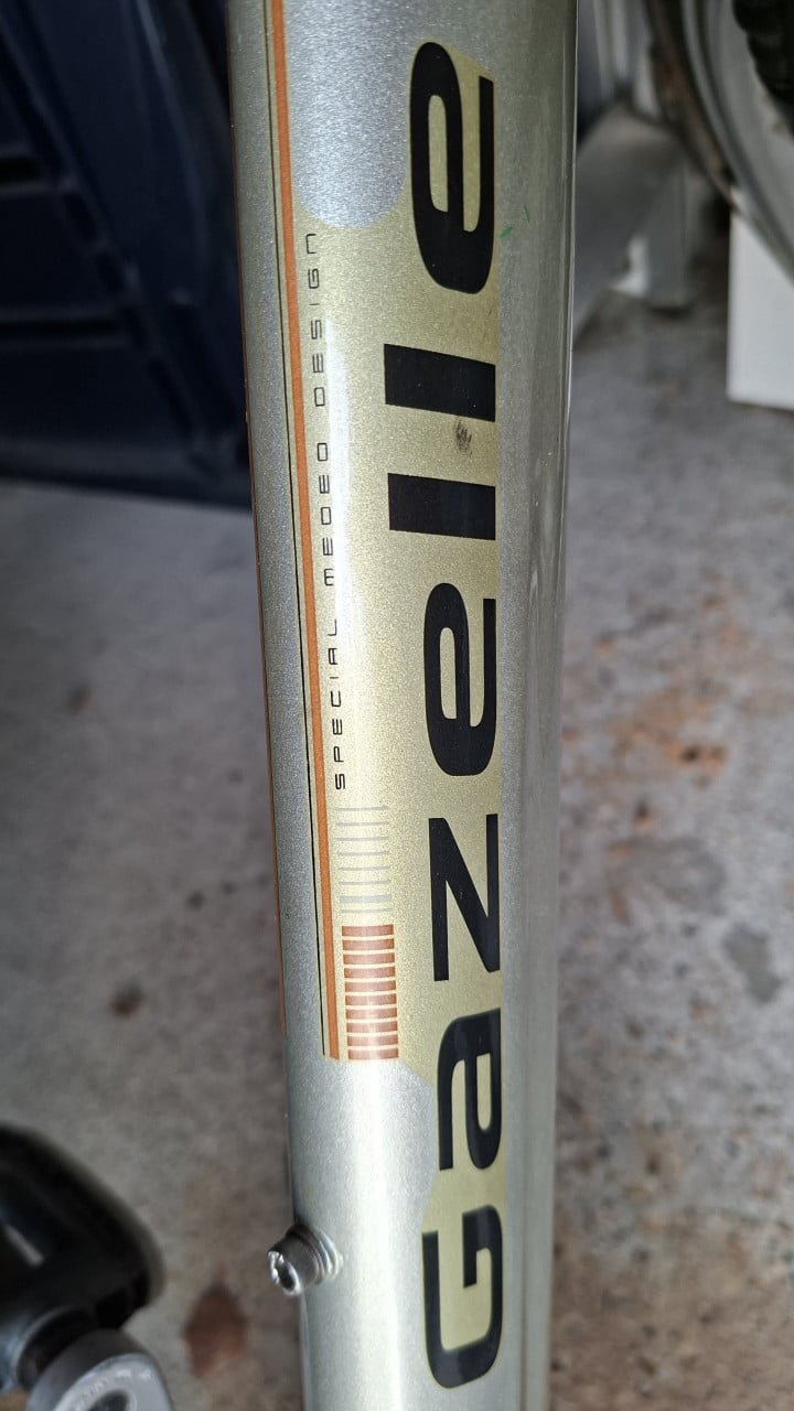 Herenfiets Gazelle