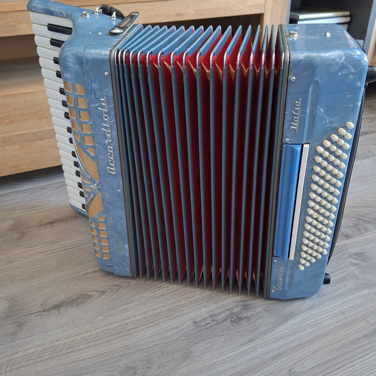 Accordion Accordiola Traviata