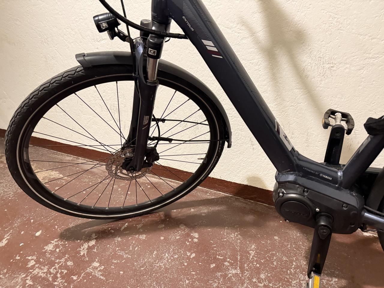 In nieuwe staat Giant Damesfiets met 2 accu’s