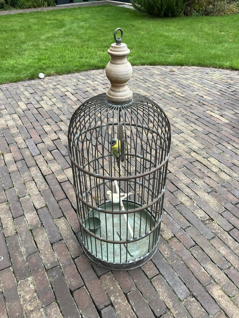 Vogelkooi decoratief
