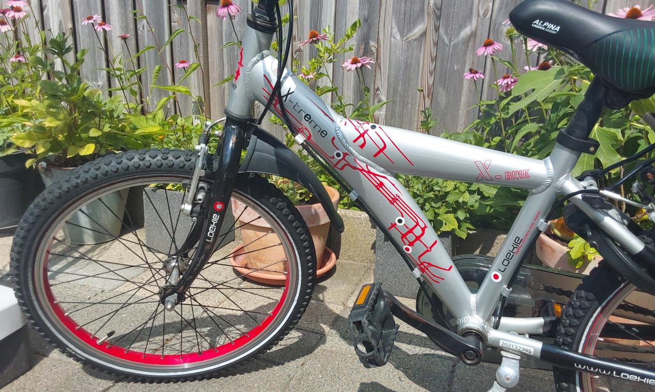 16 inch fiets van het merk Loekie