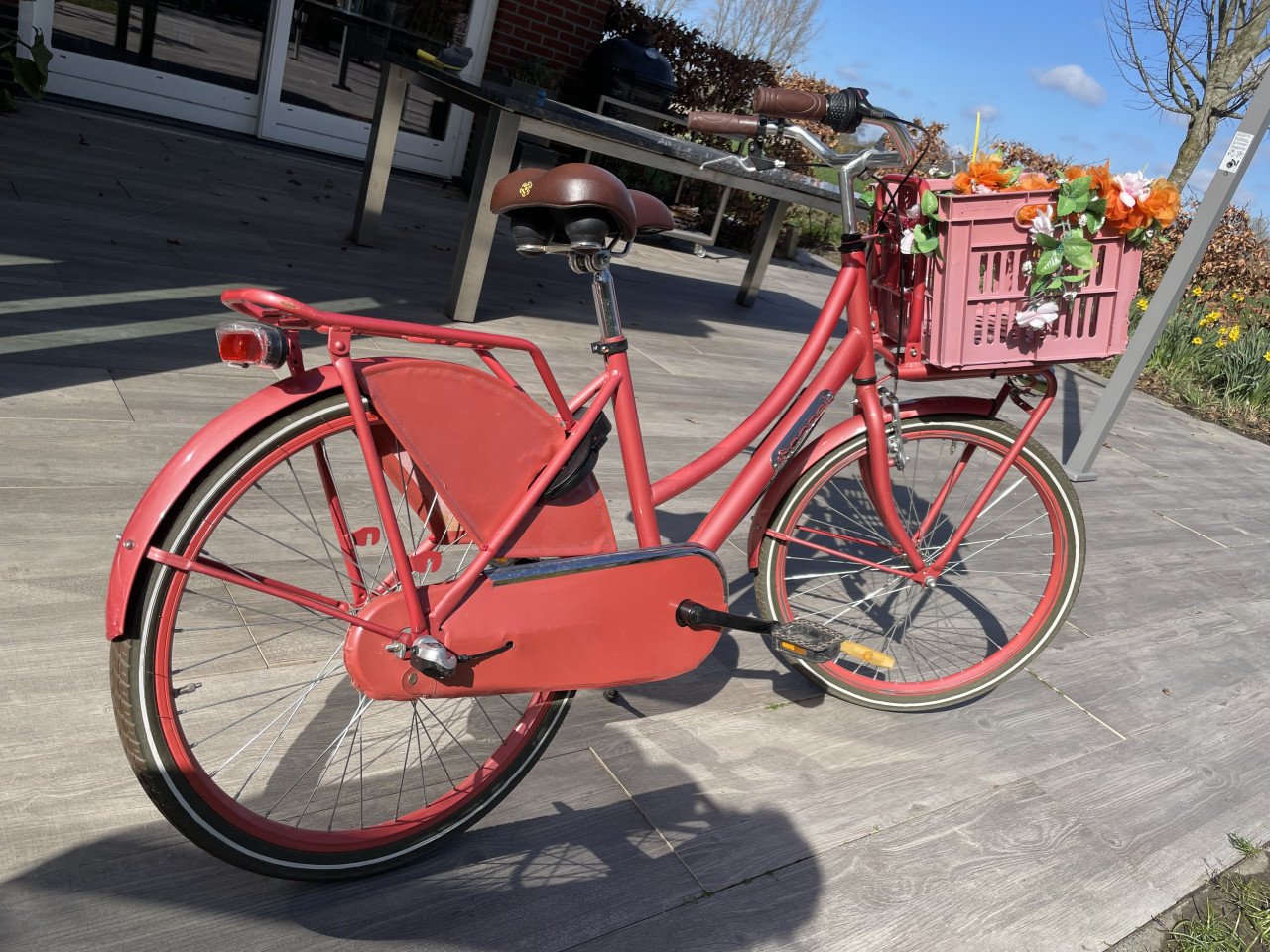 Meisjes fiets