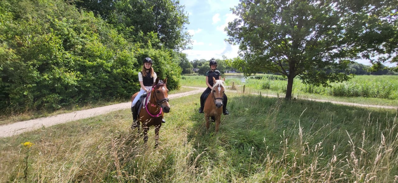 Ponykamp In Middelburg!