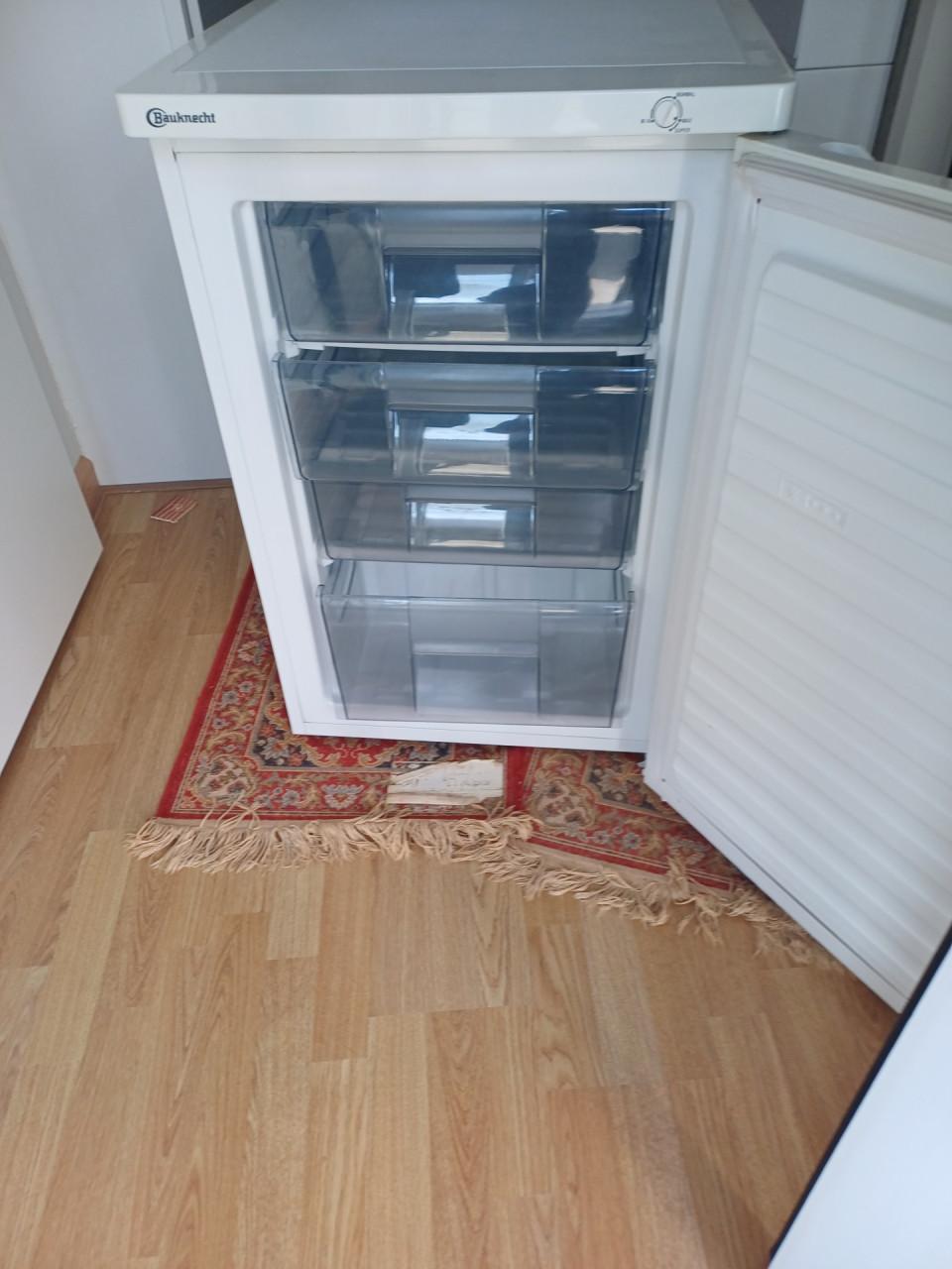 Tafelmodel Vriezer  Bauknecht ... zeer netjes !!!