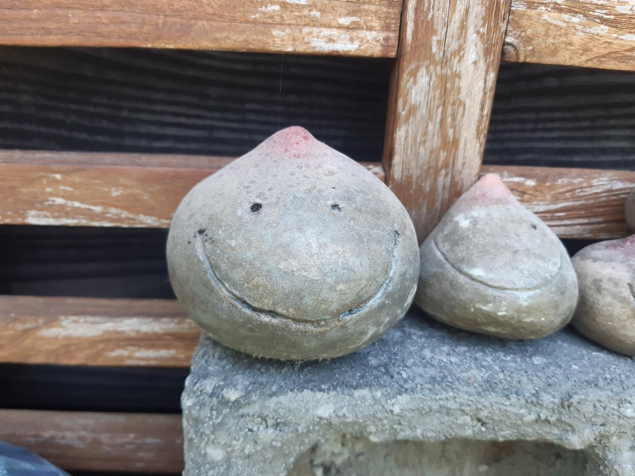 Betonnen schalen en bakjes