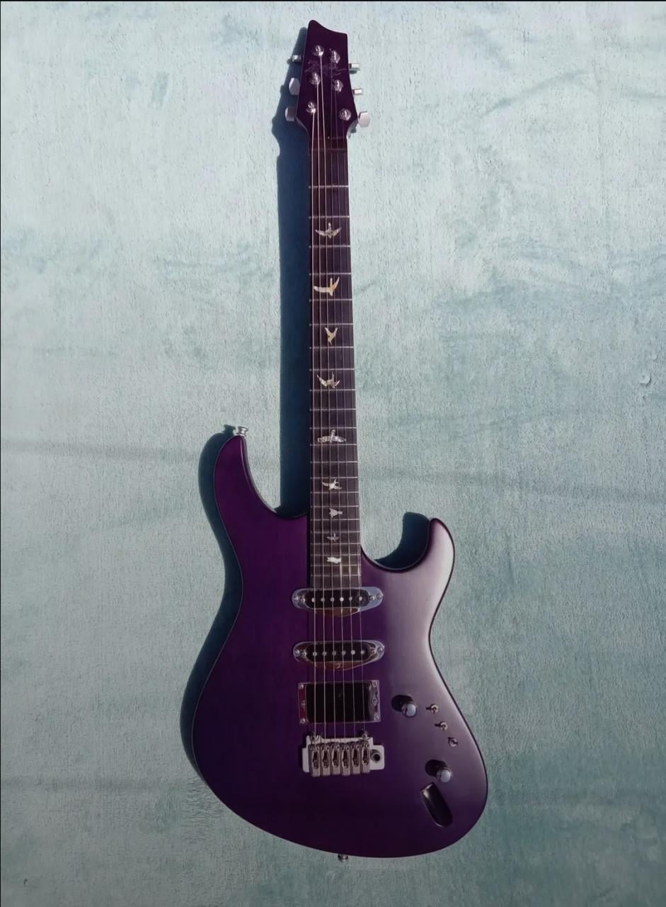 Handgebouwde Zwier Gitaar
