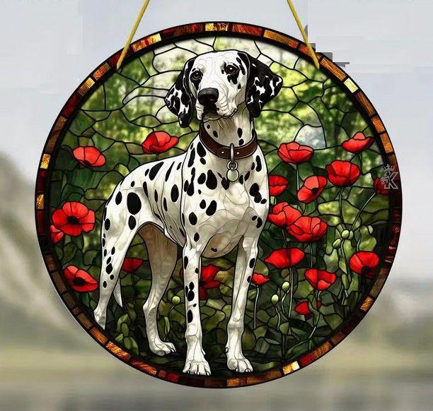 Raamhanger Dalmatier