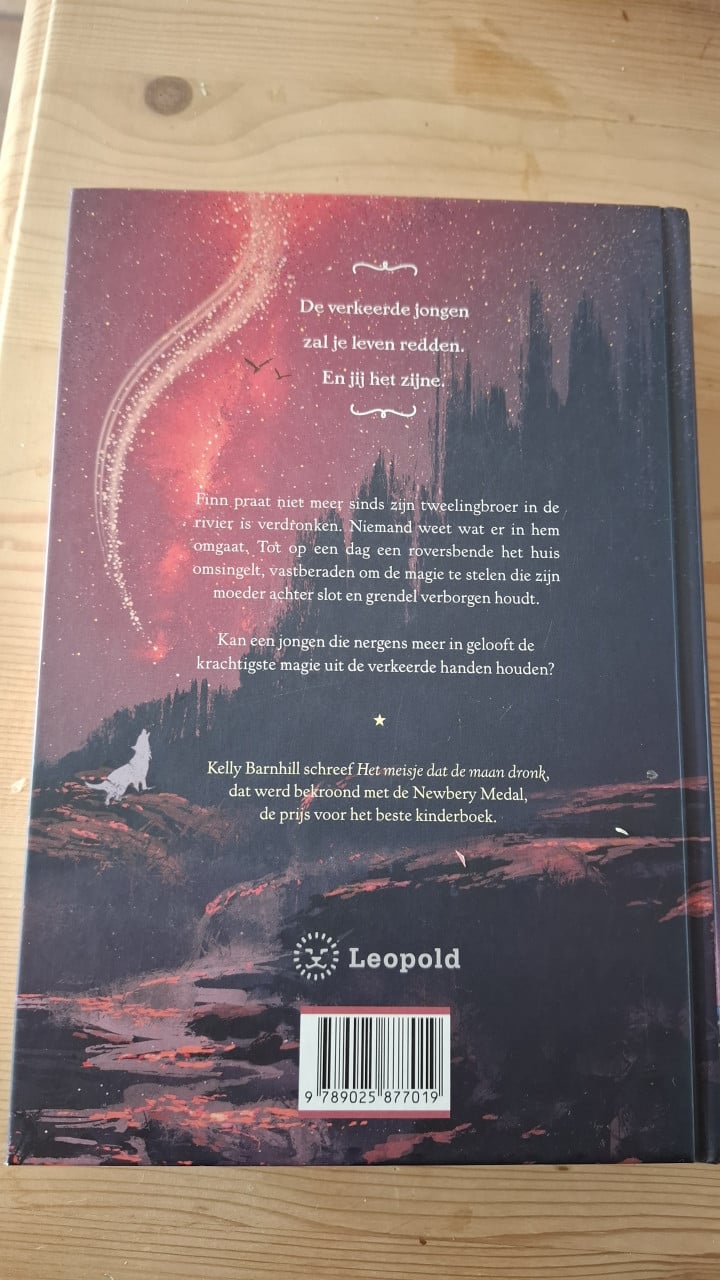 Boek Jeugd.Heksenjongen