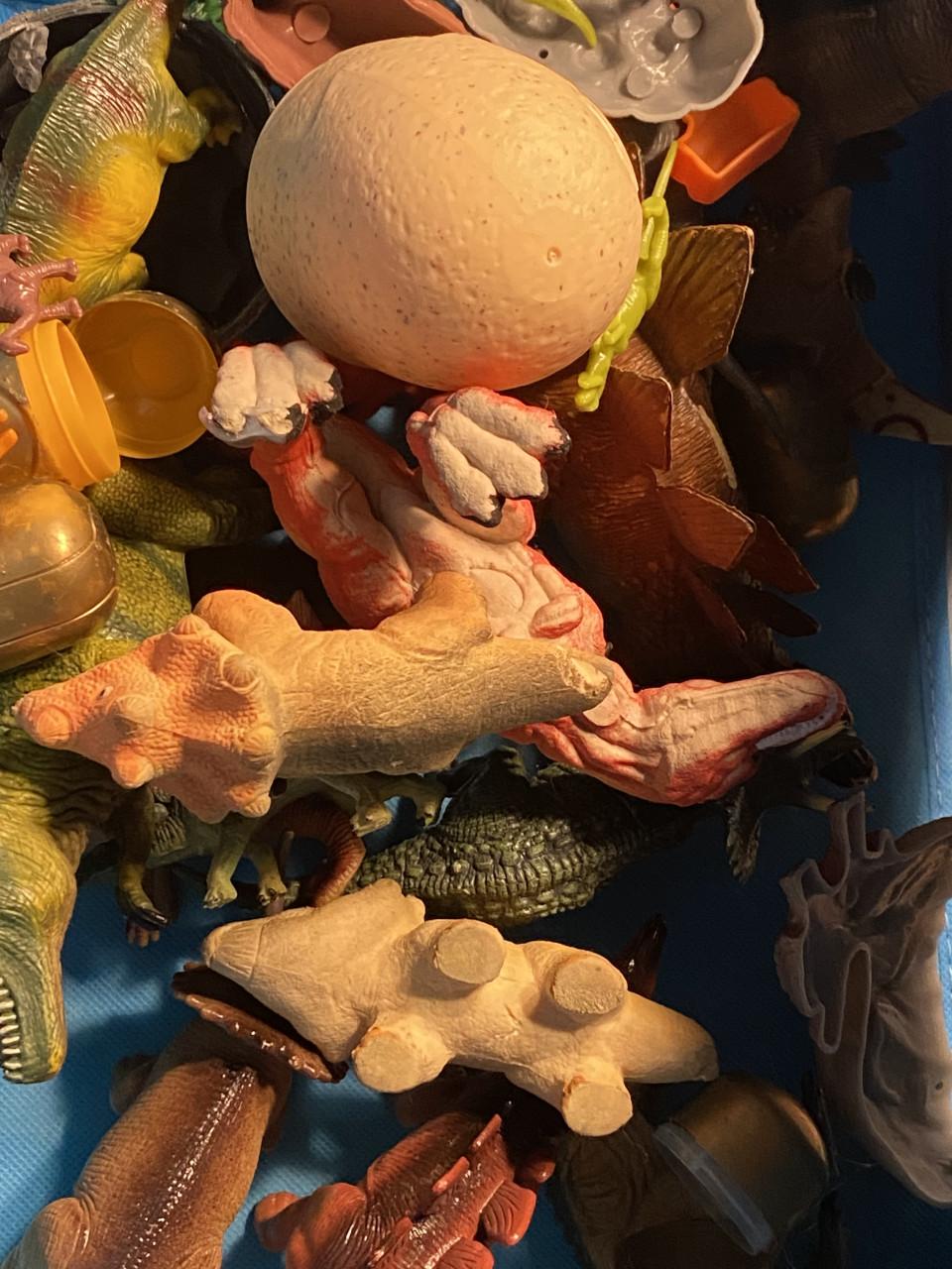 Dinosaurus incl opberg en speelkleed