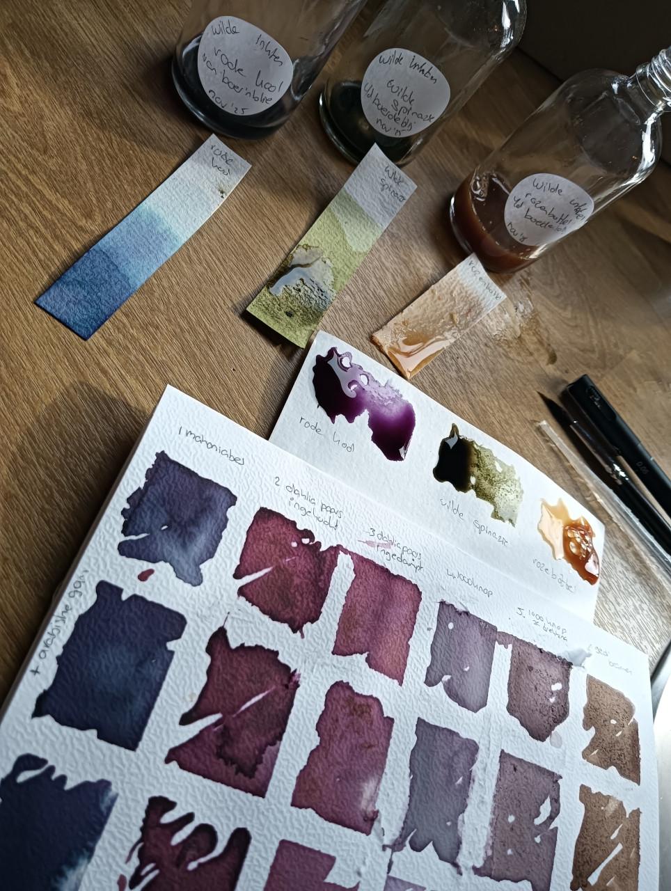 Wildplukwinterwandeling