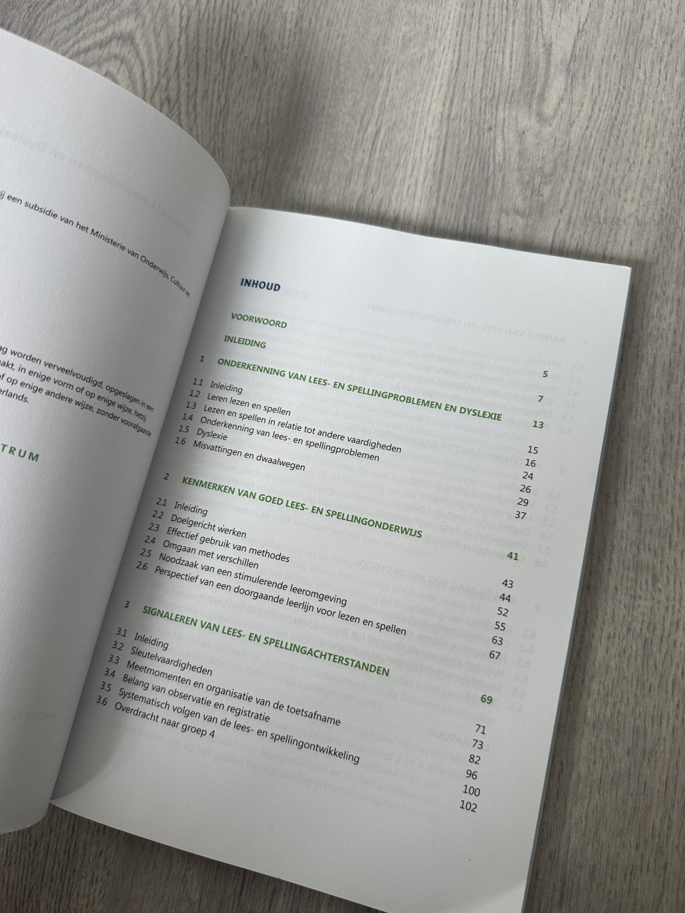 Boek leesproblemen en dyslexie groep 3