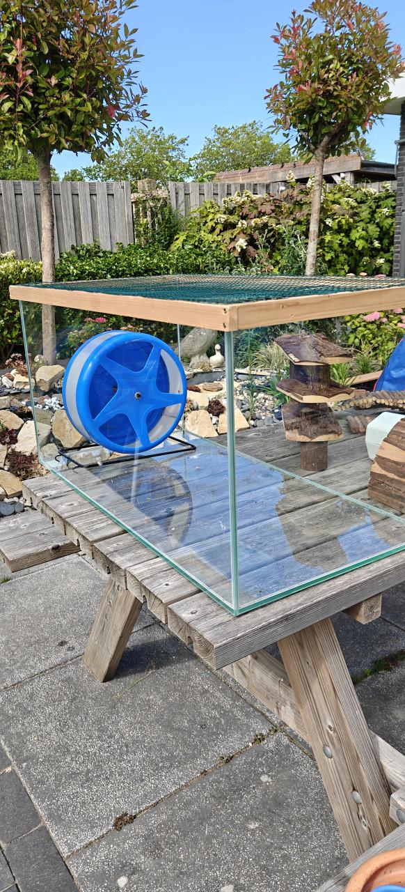 Hamster/muizen kooi glas