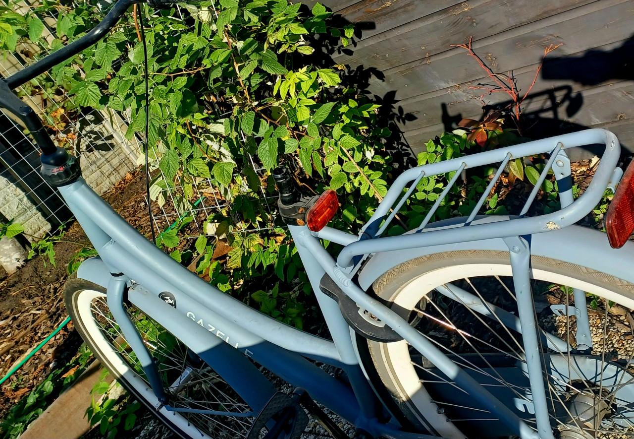 Damesfiets Gazelle