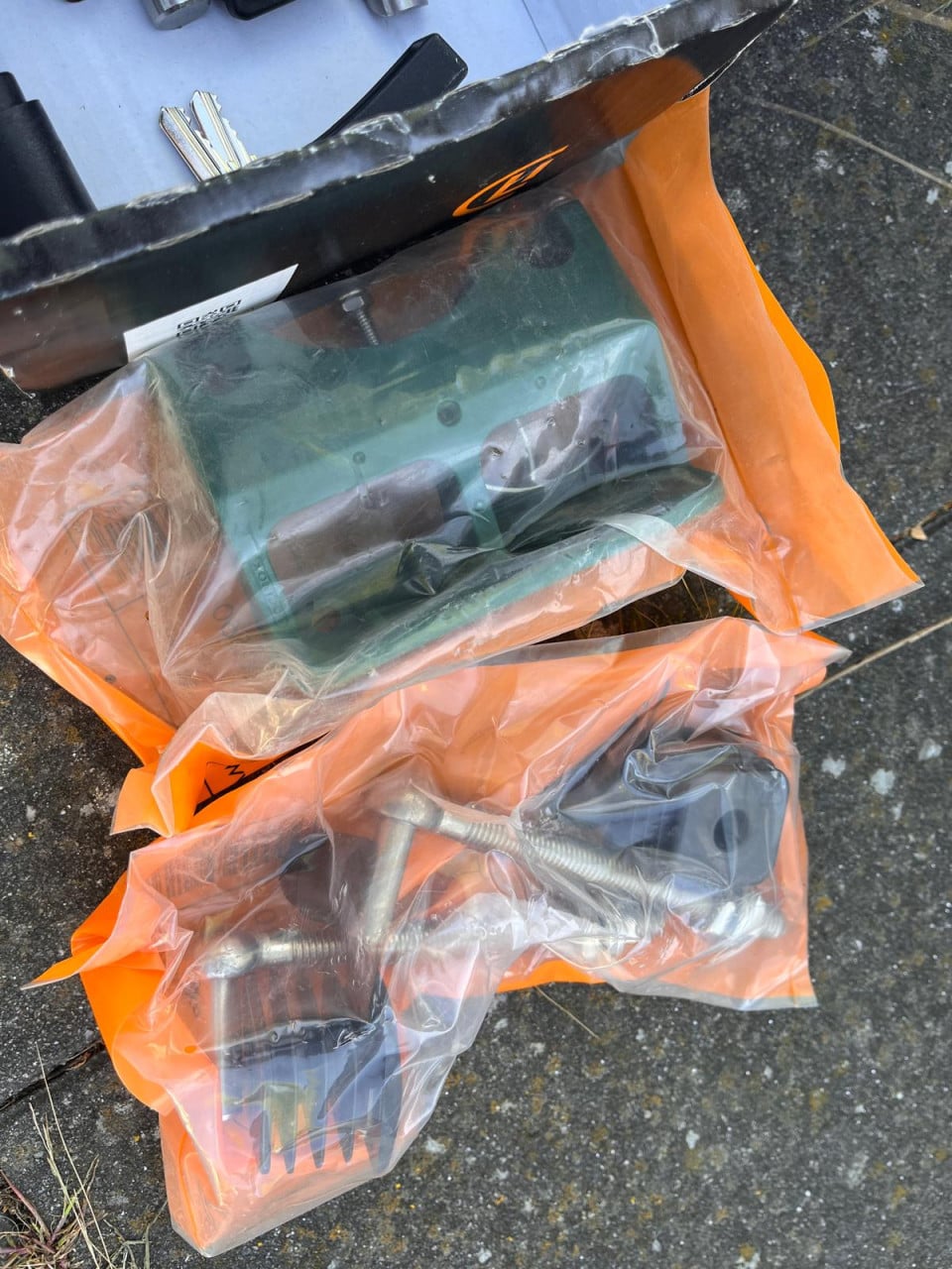 Metalen poort (2x) BETAFENCE