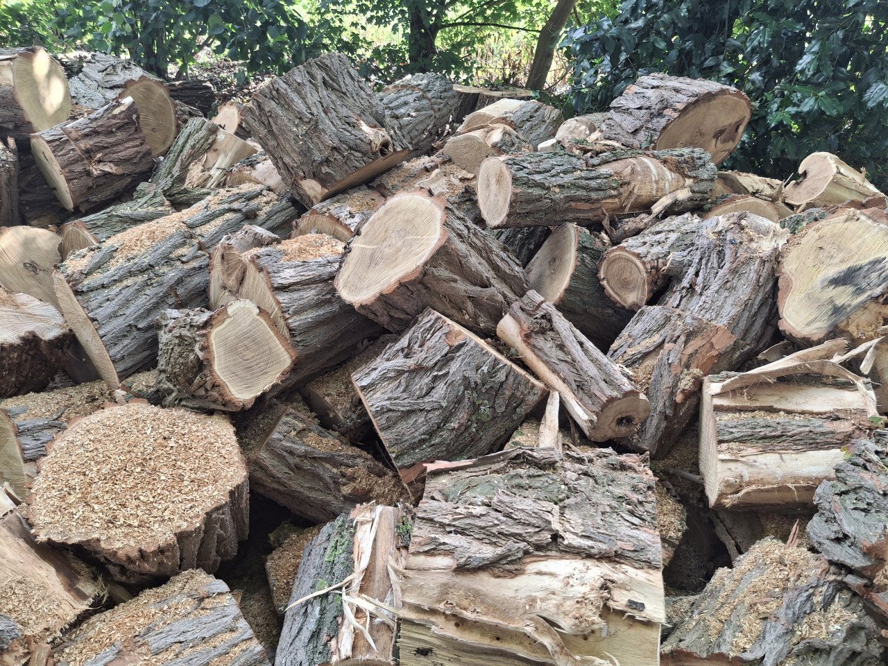 Haardhout zomeraanbieding