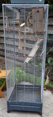 Vogelkooi