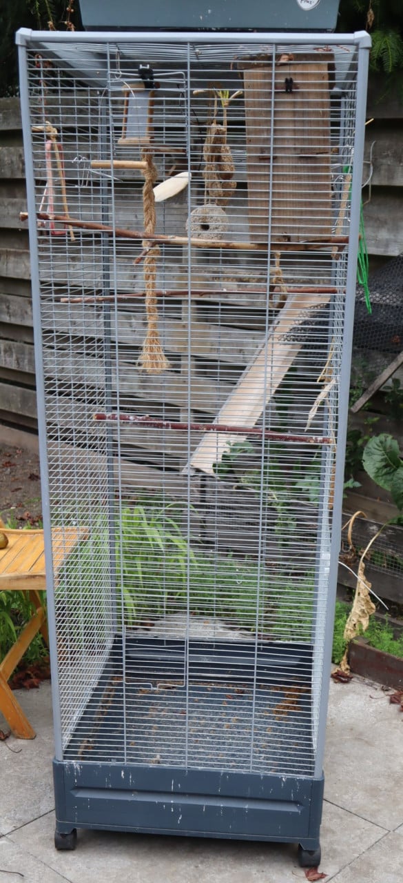 Vogelkooien