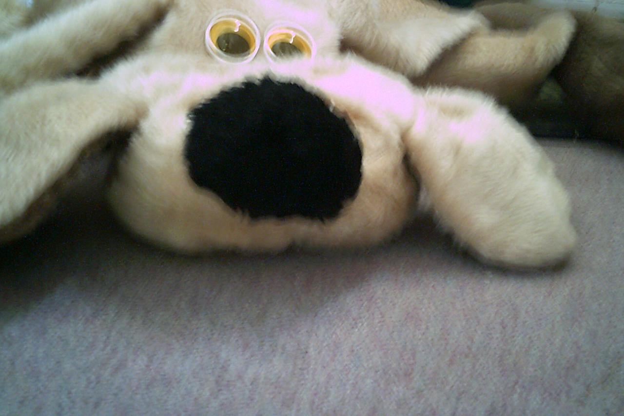 Grote NIEUWE knuffel ...
