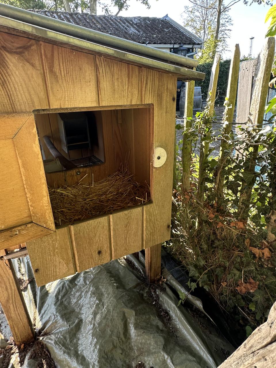 🐔 Kippenhok met zinken dak en legnest €95