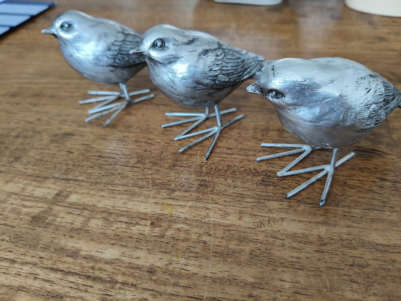 Vogeltjes