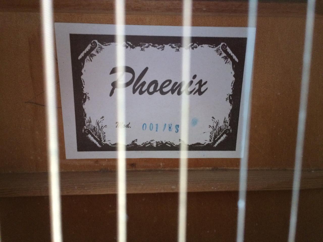 Phoenix 001 western gitaar