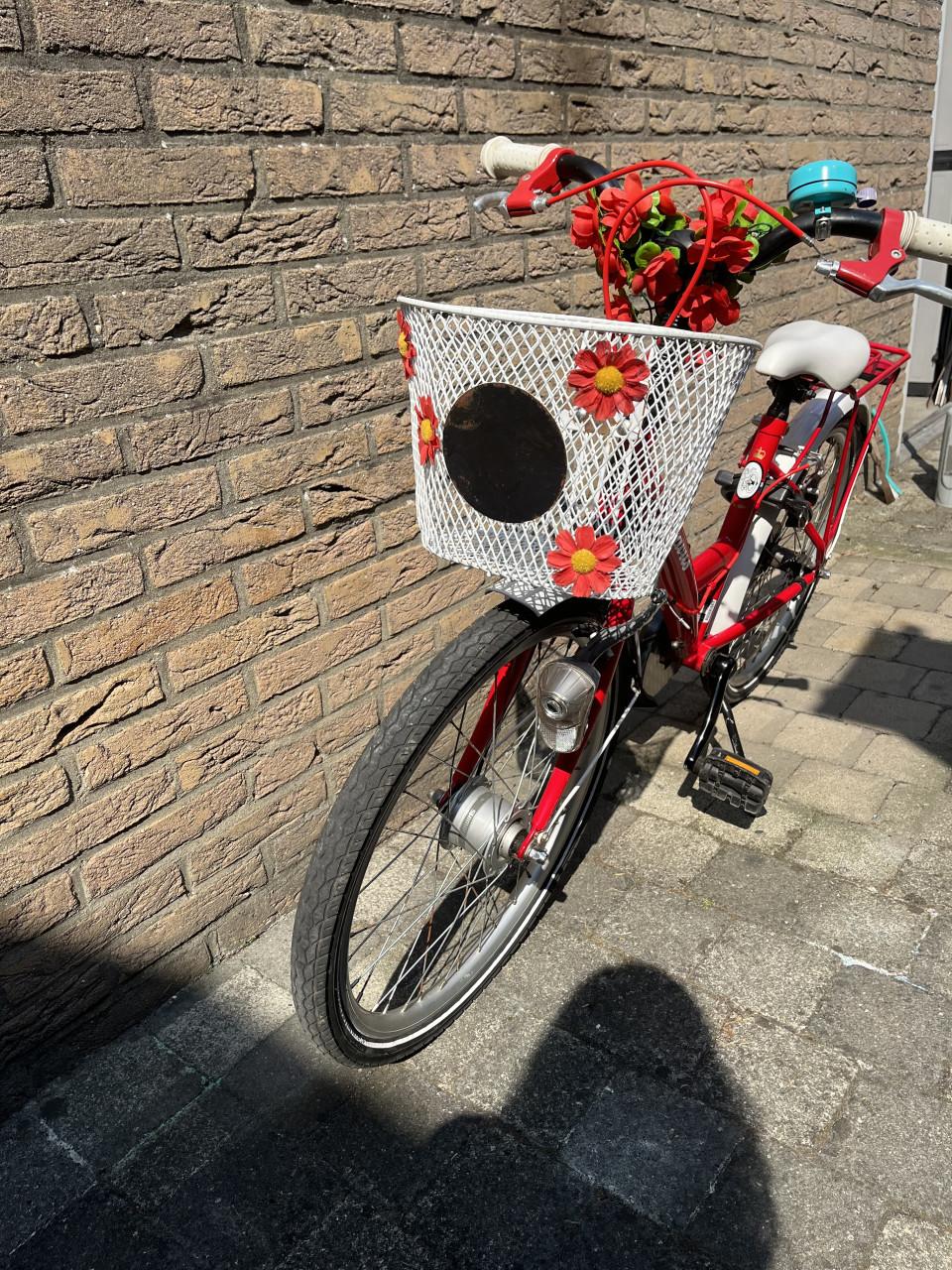 Batavus meisjesfiets 22 inch