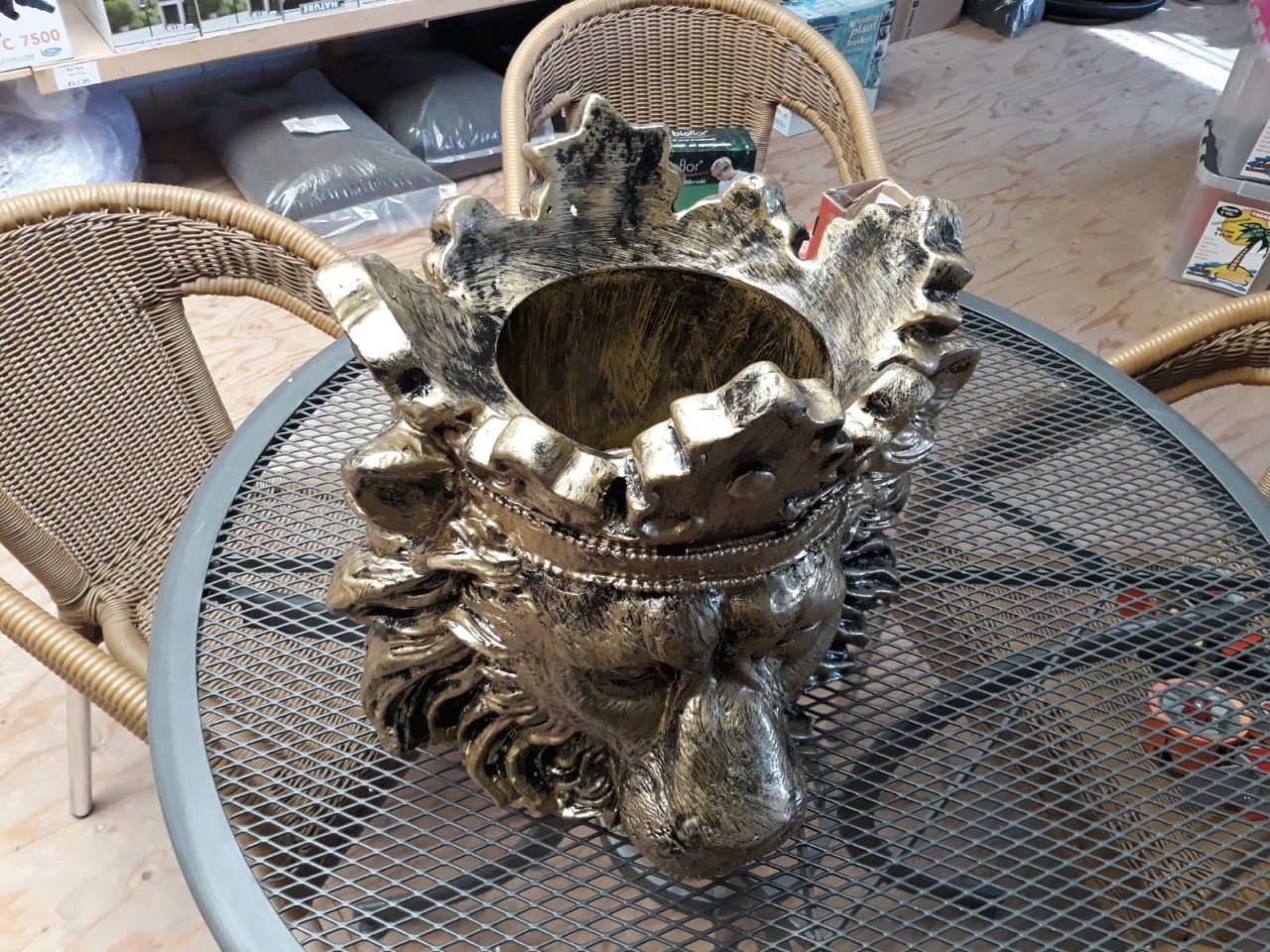 Bloempot Leeuwenkop Goud groot compleet afhalen