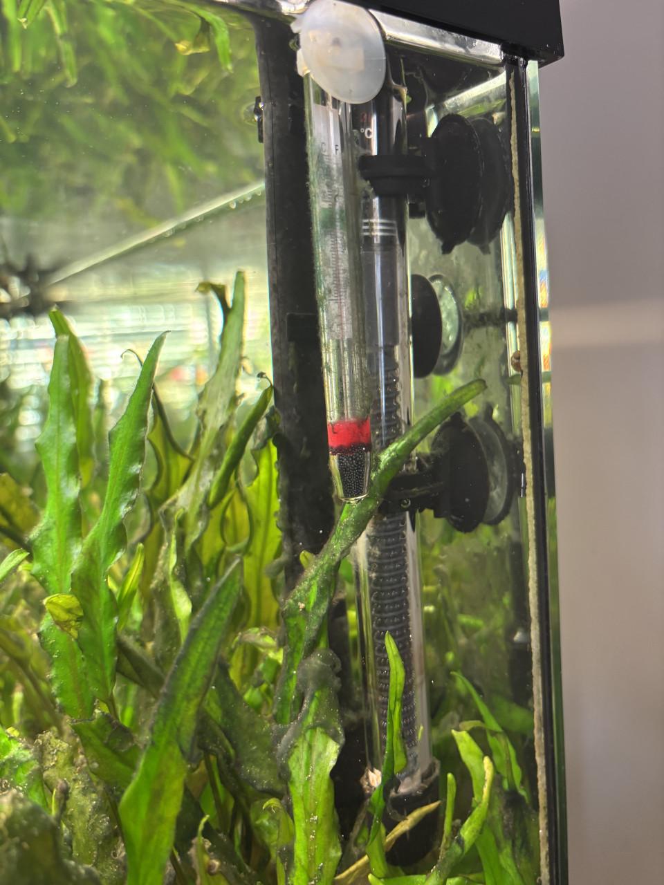 Aquarium met kast