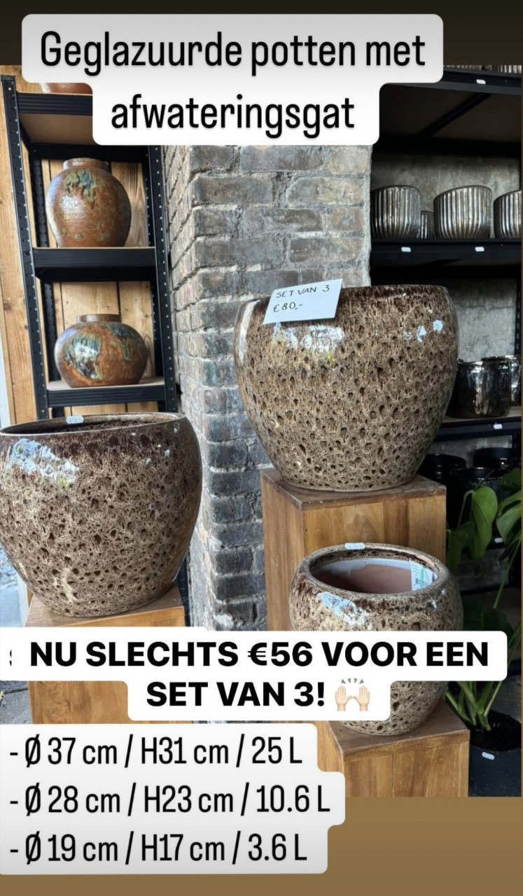 GOEDKOPE BUITEN+ BINNEN POTTEN