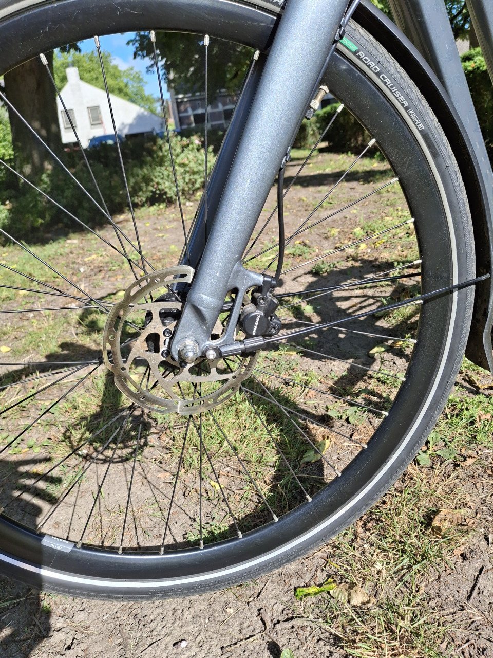 Batavus Dinsdag Exclusive Plus Multigrijs Dames fiets 11 versnellingen