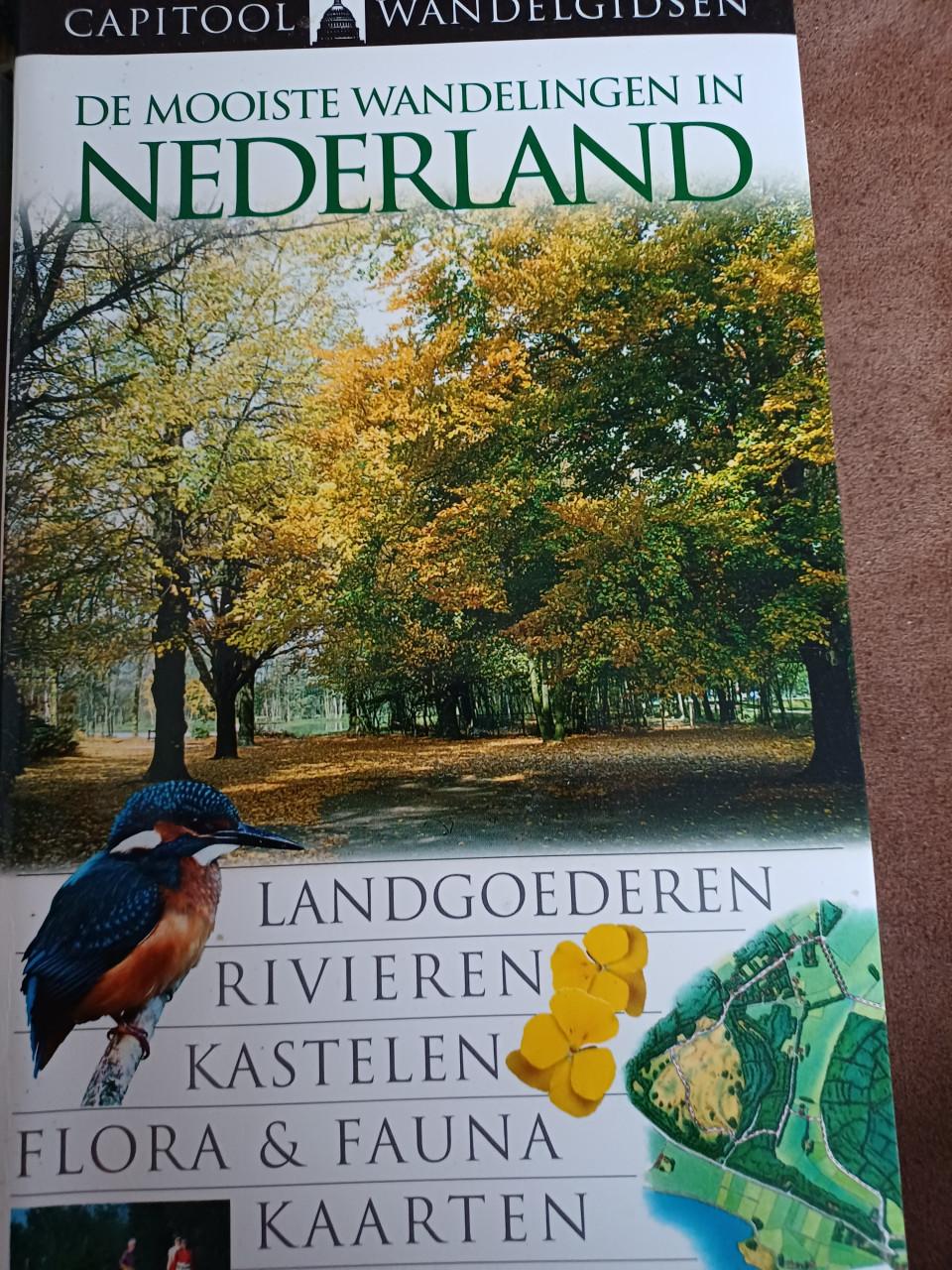 Capitool reisgidsen 4 keer