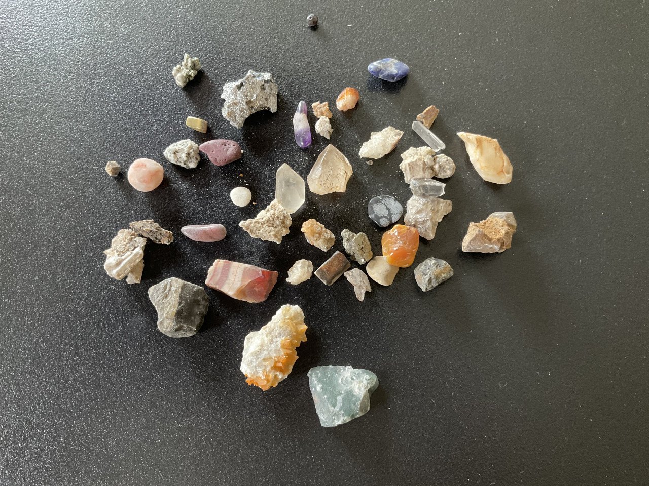 Verzameling schelpen, stenen en fossielen