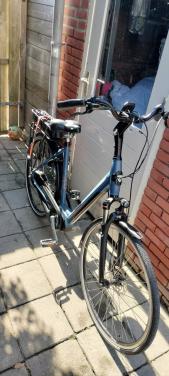 Stella Livorno steps